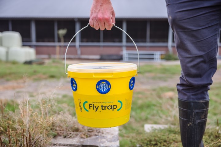 Fly shop trap bucket